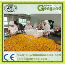 Hot Sell Dosen Obst Produktionslinie